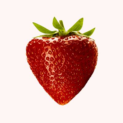 Espinaca Orgánica Loja