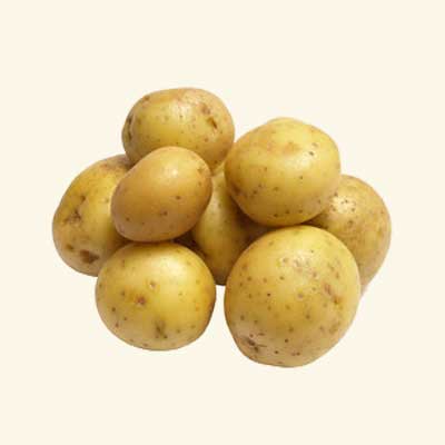 Naranja Orgánica Loja